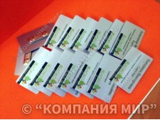 Бейджи, бейджики